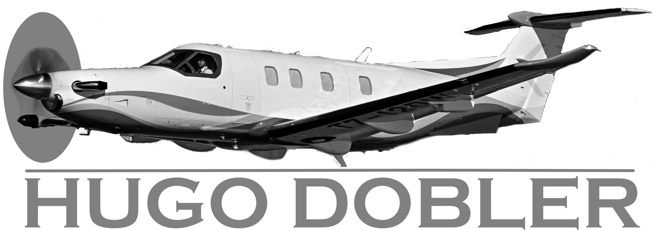 Hugo Dobler logo